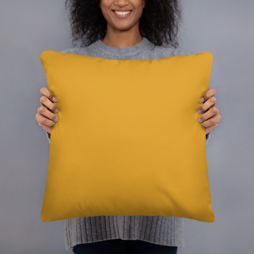 Coussin décoratif